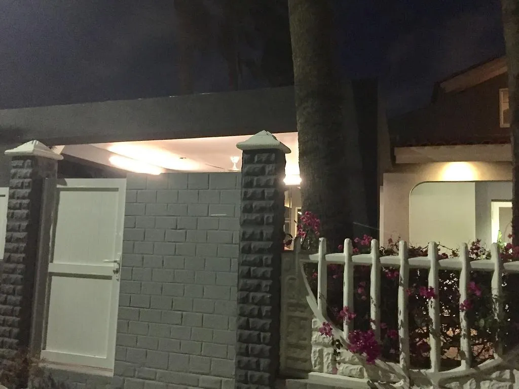 Brown Studio Apartment Palm Beach Aruba